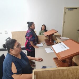 PHOTOS OF MOCK COURT PRACTICAL TRAINING CLE SESSIONS